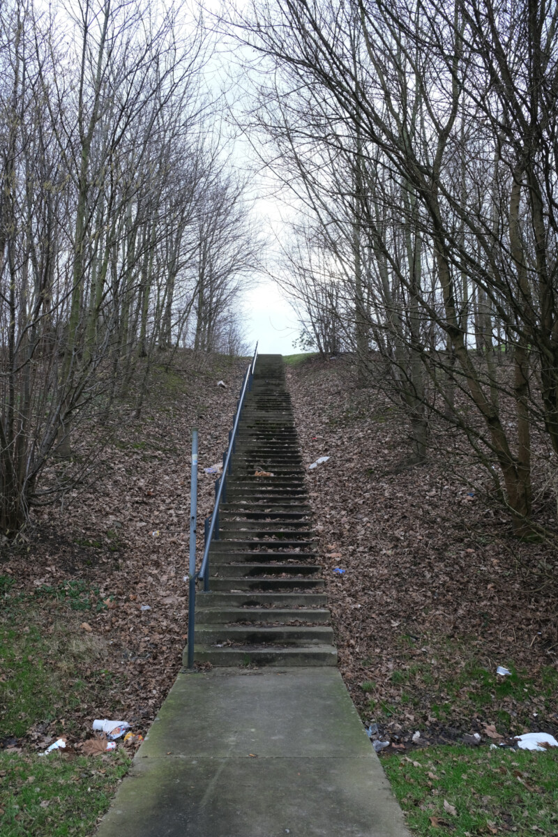Eine Treppe führt zwischen kahlen Bäumen hinauf.