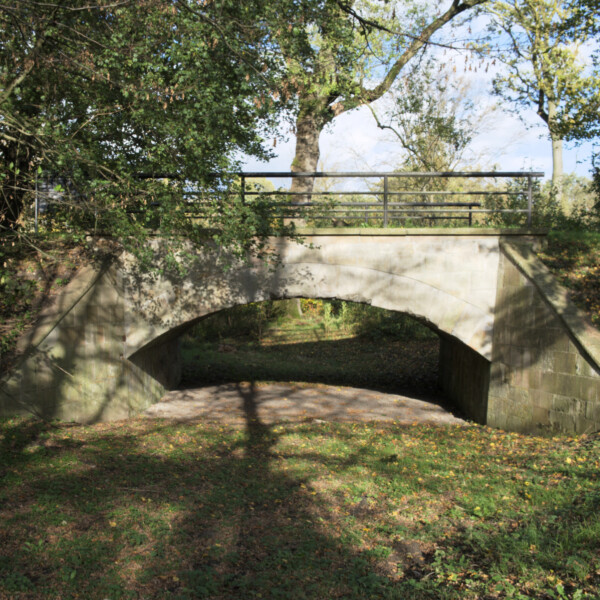 In einem Wald steht eine Brücke aus Stein. Unter dem Brückenbogen fließt kein Wasser. Unter der Brücke wächst Gras.