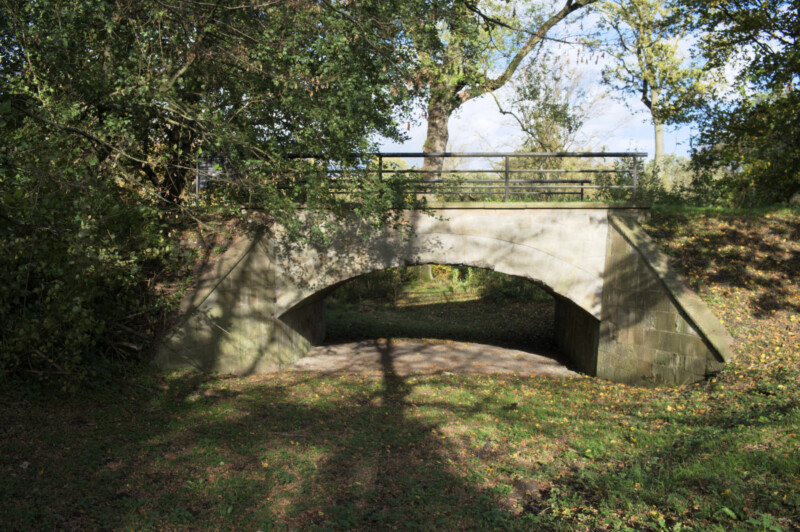 In einem Wald steht eine Brücke aus Stein. Unter dem Brückenbogen fließt kein Wasser. Unter der Brücke wächst Gras.